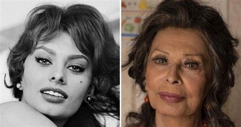 sophia loren young sexy|33 Pictures Of Sophia Loren, Old Hollywoods Italian Goddess